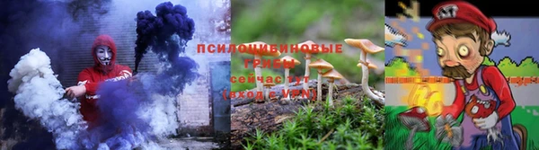 тгк Алзамай