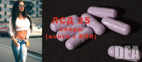 шишки Ростов