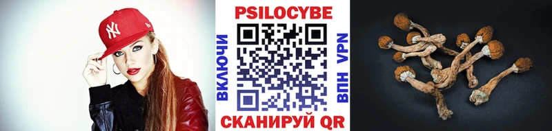Галлюциногенные грибы Magic Shrooms  купить наркотики цена  Гаврилов Посад 